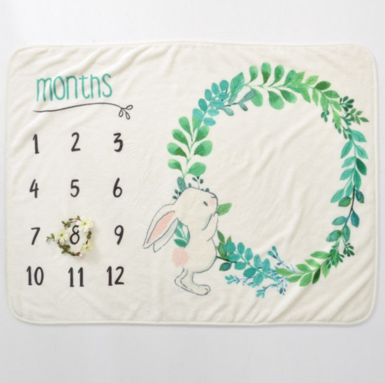 Baby milestone photo blanket photography background